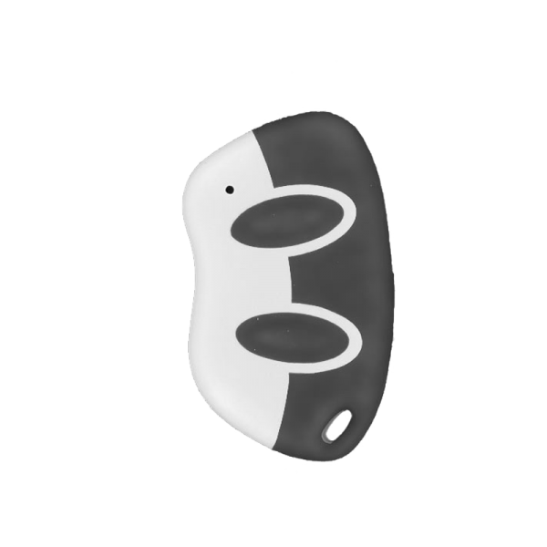 Erone SETR2641 AM2.N 433 MHz 2 Kanal anthrazit Handsender